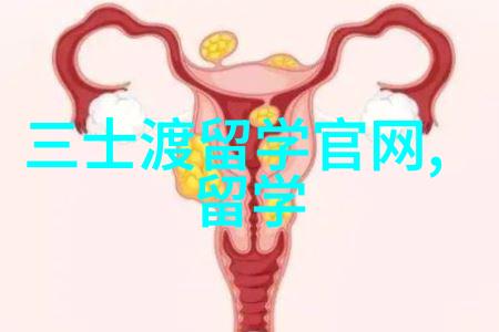 马来西亚如何申请出国留学呢