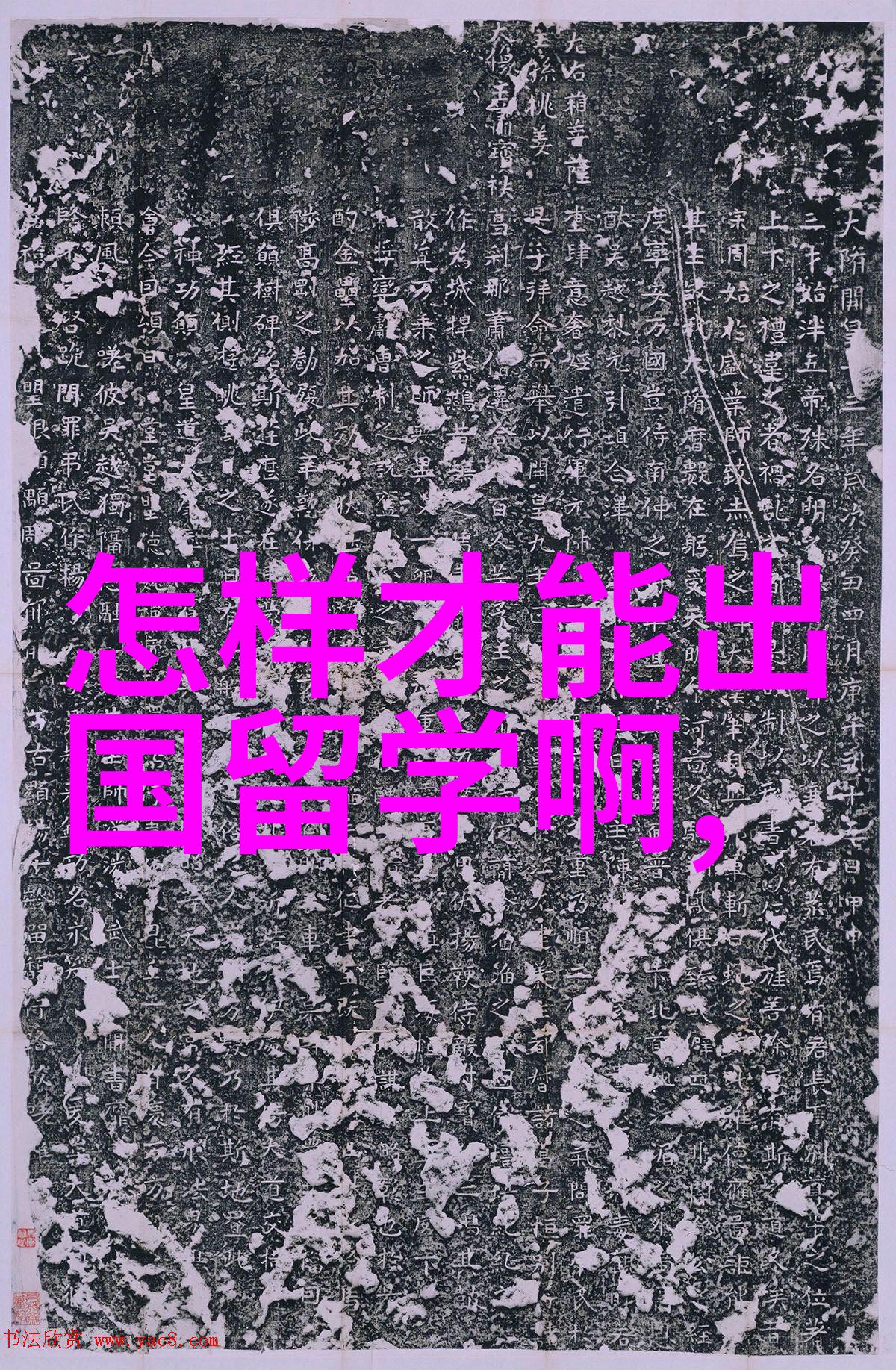 兰卡斯特大学2025研究生专业录取要求更新