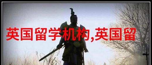 东安圣安布里斯托不限背景硕士项目